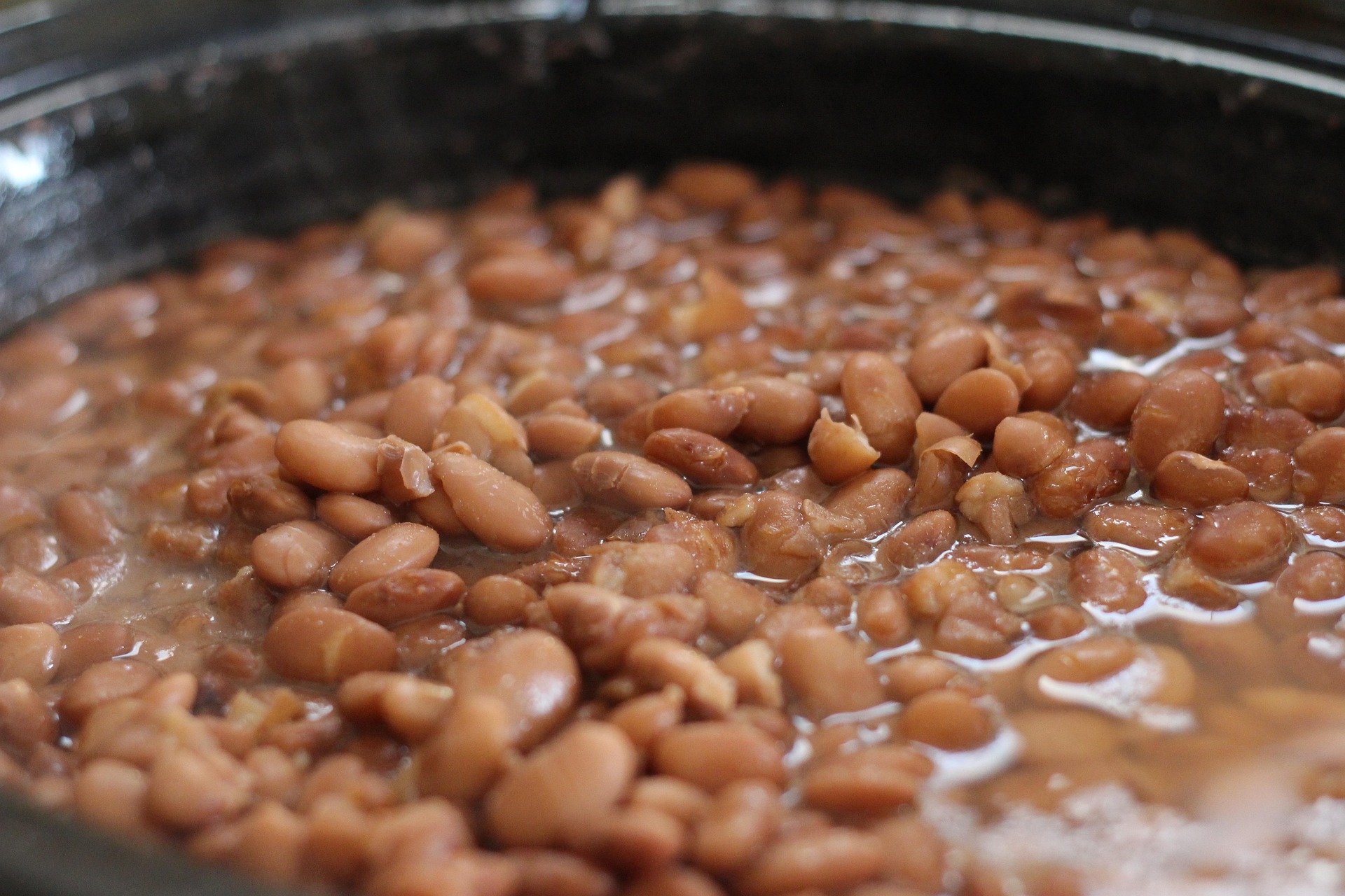 beans for vegetarians
